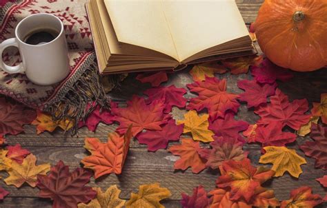 Autumn Books Wallpapers Top Free Autumn Books Backgrounds Wallpaperaccess