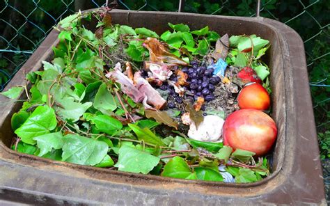 Baby dumping causes and effects rating: Key Facts on Food Waste You Should Know! | Greentumble
