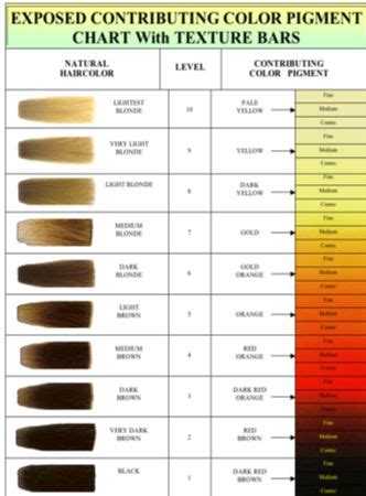 Image Result For Bleach Color Chart Hair Color Wheel Hair Color Chart