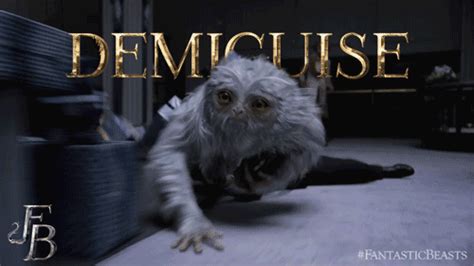 Introducing The Beasts Of Fantastic Beasts And Where To Find Them
