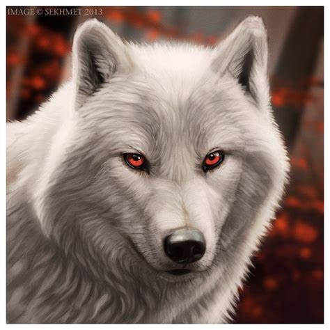 A White Wolf With Red Eyes Stares Into The Camera