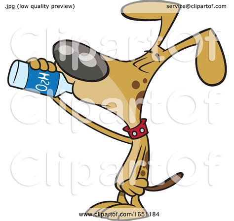 Cartoon Thirsty Dog Drinking Water By Toonaday 1651184