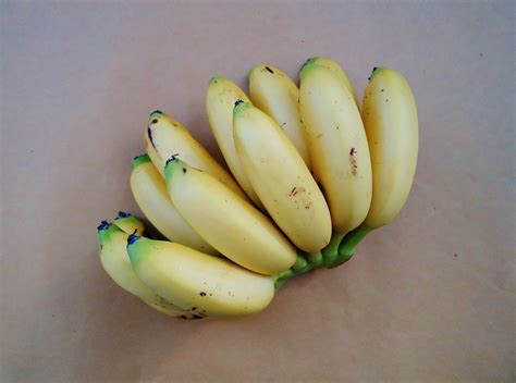 Brazilian Bananas