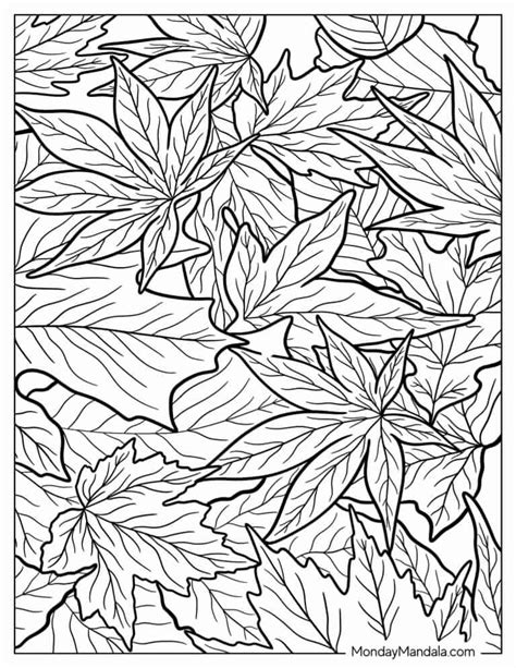 20 Fall Leaves Coloring Pages Free Pdf Printables