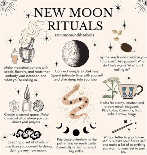 New Moon Rituals New Moon Rituals Witch Spirituality Spell Book