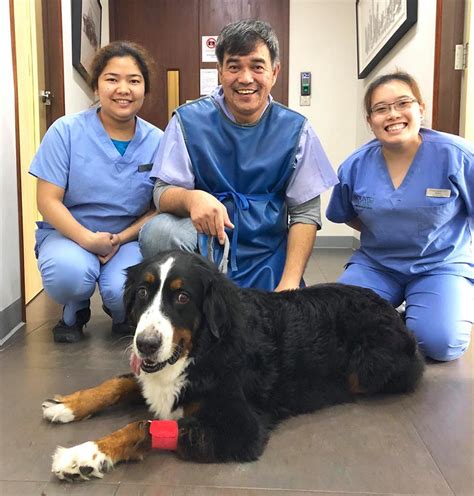 Learn more about a elizabethtown 24 hour vet by clicking view details, or enter a new zip code in the search box below to search again. 11 24-Hour Vets In Singapore Sorted By Location To ...
