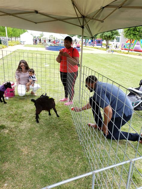 Detailed review and pictures of nickajack farms 2012 fall festival. Mobile Petting Zoo Party - Farm Animal Petting Zoo -Dallas ...