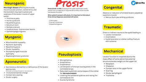 Ptosis Differential Diagnosis Framework Neurogenic Myogenic