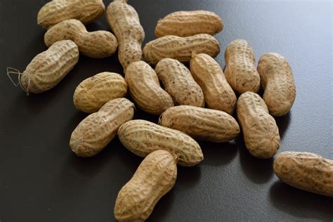 Shelled Peanuts Free Stock Photo Public Domain Pictures