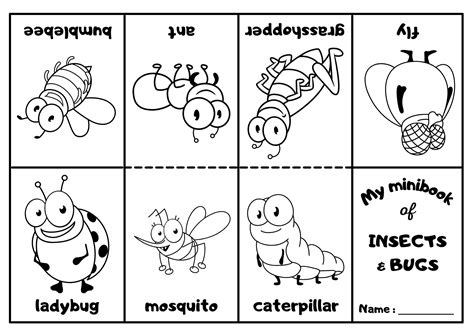 Insects And Bugs Mini Coloring Book