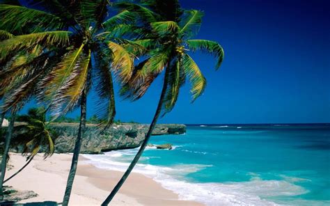 Barbados Barbados Travel Barbados Beaches Places To Travel