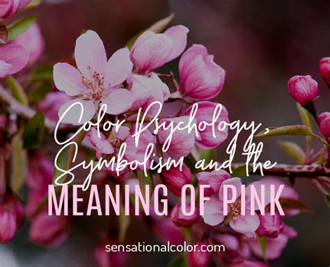 Meaning Of Pink Color Psychology And Symbolism