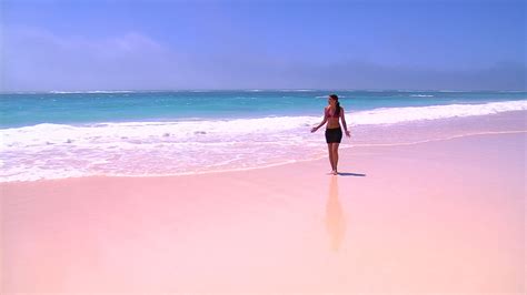 Bahamas Pink Sand Beach Harbour Island Pink Sand Beach Beaches In