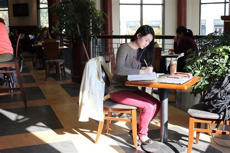 10 Places Where You Can Actually Study Study Colleges And