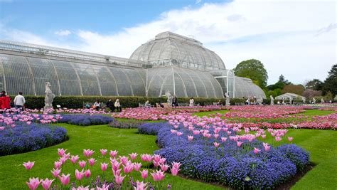 Platform order flowers from your local florist. 8 Beautiful Places to Enjoy Spring in London