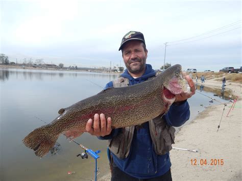 Big steelhead require light leaders and the right size mainline. Fishing Reports - Page 8 - FishingLakes.com