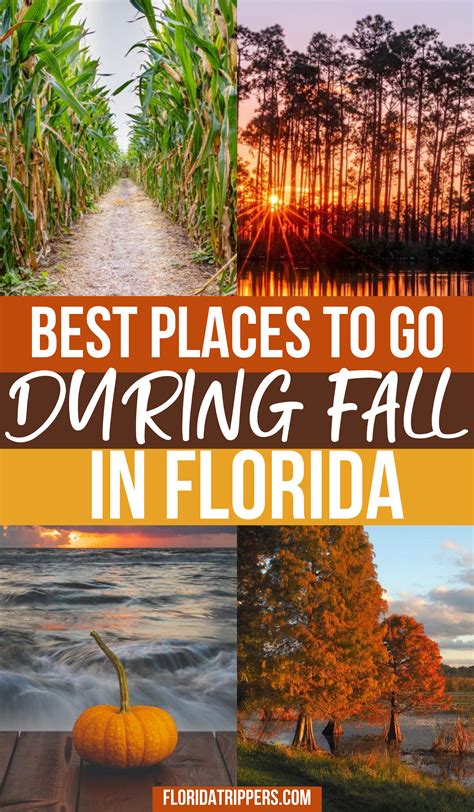 florida in fall what to do and where to go artofit