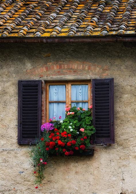 Great savings & free delivery / collection on many items. Window Box Italy Photograph by Bob Coates