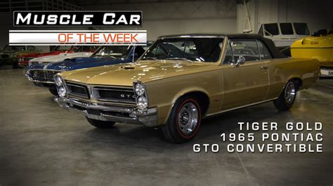 Muscle Car Of The Week Video 14 Tiger Gold 1965 Gto Convertible Youtube