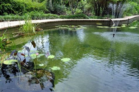 Weiterhin ist die größe maßgeblich. Wie viel darf ein Schwimmteich kosten? - Haus Dekoration ...
