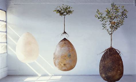 Burial Pods To Turn Human Remains Into Trees Burial Pods To Turn Human Remains Into Trees