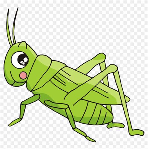 Cricket Insect Clipart Insect Insect Grasshopper Cricket Like Insect