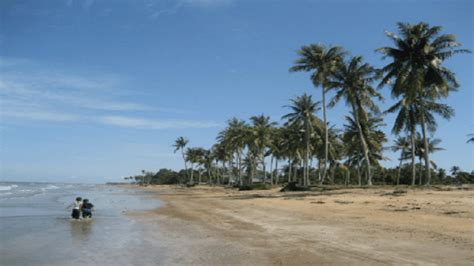 Puisi Pantai Karang Dan Rindu yang Belum Usai