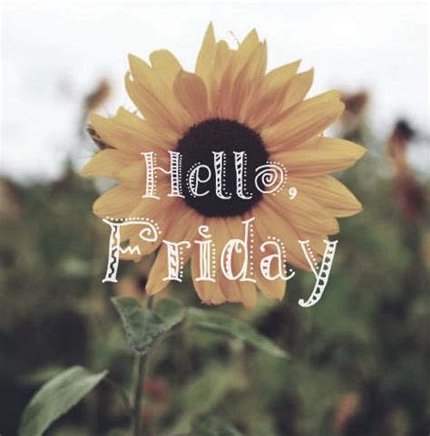 Hello Friday Pictures, Photos, and Images for Facebook, Tumblr, Pinterest, and Twitter