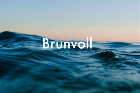 Brunvoll Marine Eq