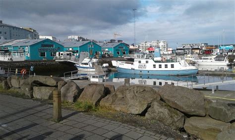 Old Harbour Reykjavik All You Need To Know Before You Go