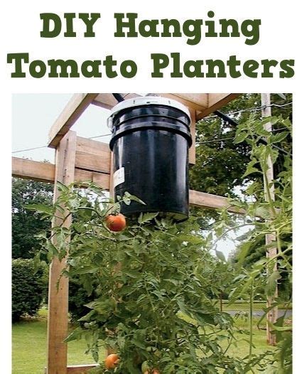 Diy Hanging Tomato Planters Tomato Planter Upside Down Tomato