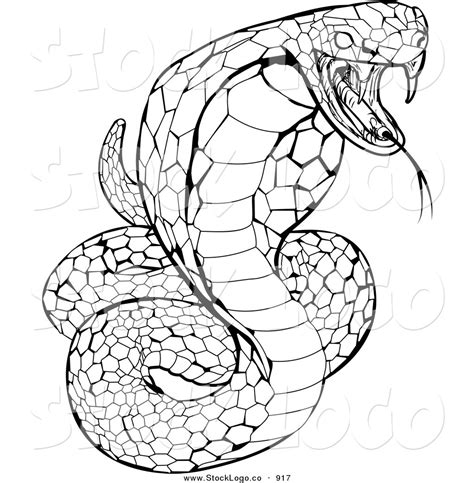 Juvenile snakes are paler in coloration than adults. Vector Logo of a Striking Venomous Cobra Snake Hissing by ...