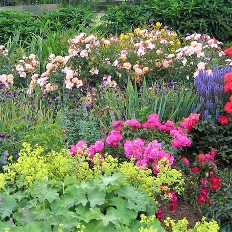 Creating A Cut Flower Garden For Fun And Profit Finegardening