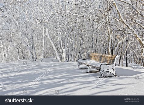 Bench In Winter Park On A Background Of Snow Covered Trees Stock Photo