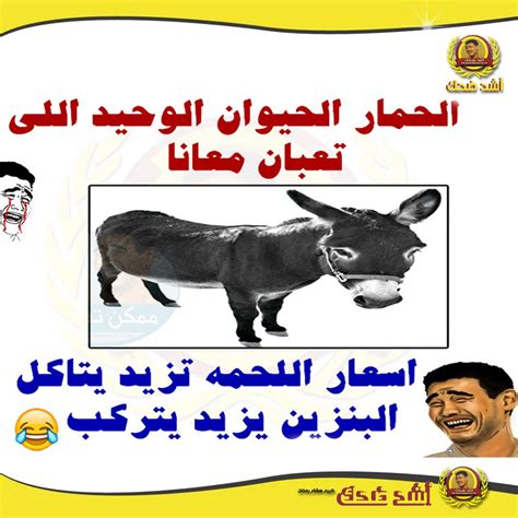 يقولك فيه عجوووز دقت بالتلفون قال (ان الرقم الذي طلبته غير صحيح)قالت هها بس عطني امك. صور مضحك جدا 2018 اجمل بوستات كوميدية | يلا صور