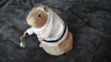 Kung Fu Hamster Youtube