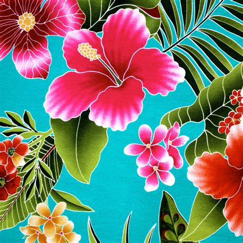 48 Tropical Flowers Wallpaper Wallpapersafari