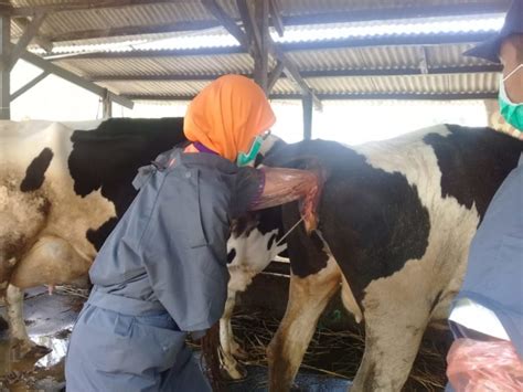 Pengertian Bioteknologi (DAMPAK, CONTOH, MANFAAT, JENIS dll)