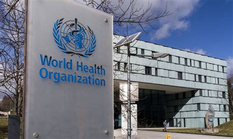 Chinese Health Authorities Hold Video Meeting With Who On Epidemic Situation Global Times