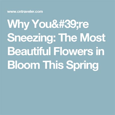 Why Youre Sneezing The Most Beautiful Flowers In Bloom This Spring