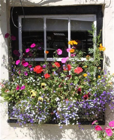 Most Beautiful Flowers Ideas For Window Boxes Window Box Flowers Flower Boxes Box