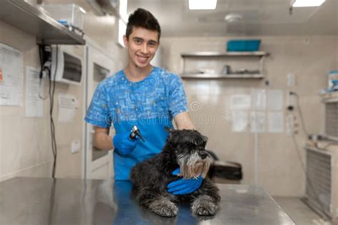 Portrait Of Young Veterinarian Technician In Medical Uniform With Happy