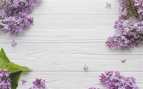 Download Wallpapers Lilac Light Wooden Background Spring