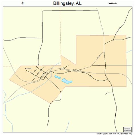 Billingsley Alabama Street Map 0106460