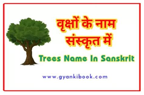 वृक्षों के नाम संस्कृत में Trees Name In Sanskrit Pdf ज्ञान की बुक