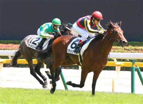 The site owner hides the web page description. 皐月賞2018予想と単勝候補と堅い複勝候補 | 競馬単複必勝法で ...