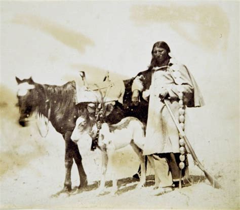 scout dakota gardner alexander 1821 1882 1868 native american indians native american