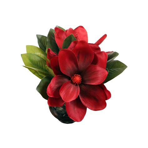 While magnolia blossoms are fleeting, this nearly natural magnolia silk flower is always in full bloom. 9" Artificial Red Magnolia Flower Arrangement in Glass ...