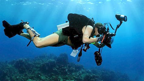 Capturing The Depths Essential Underwater Photography Tips For Marine Life