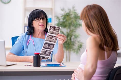 Young Pregnant Woman Visiting Experienced Doctor Gynecologist Stock Image Image Of Discussing